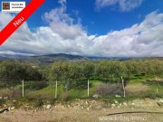 Galia Kreta, Galia Ein Olivenhain mit Persönlichkeit 3.805m² Grundstück kaufen